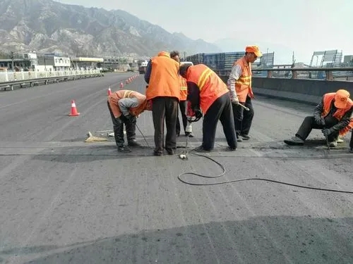 灞桥道路桥梁病害治理